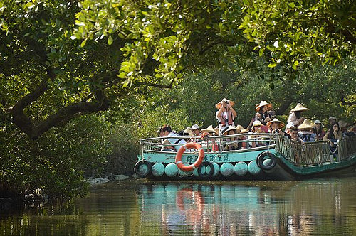 四草綠色隧道42