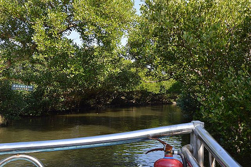 四草綠色隧道26