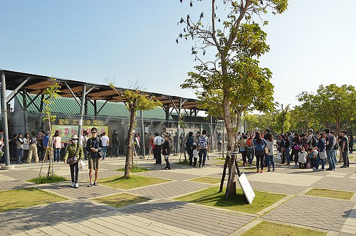 四草綠色隧道03