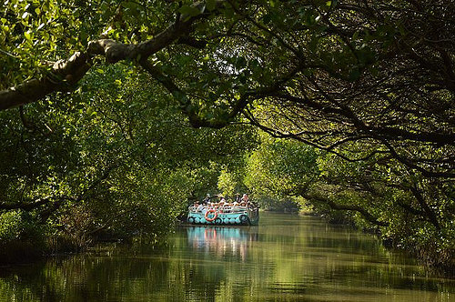 四草綠色隧道41