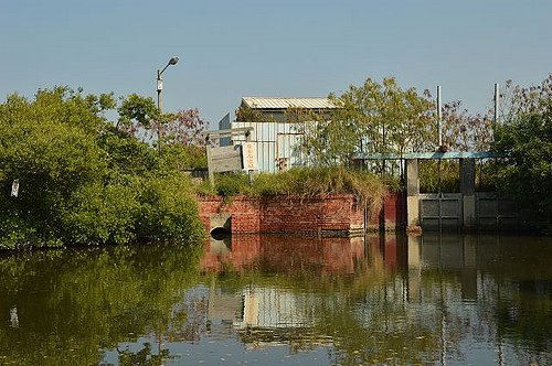 四草綠色隧道38