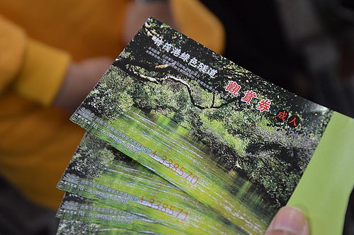 四草綠色隧道04