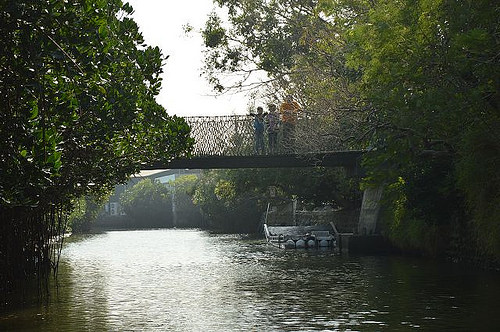 四草綠色隧道45