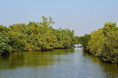 四草綠色隧道19