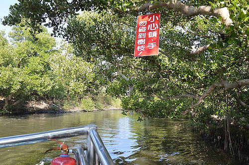 四草綠色隧道29