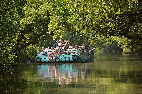 四草綠色隧道02