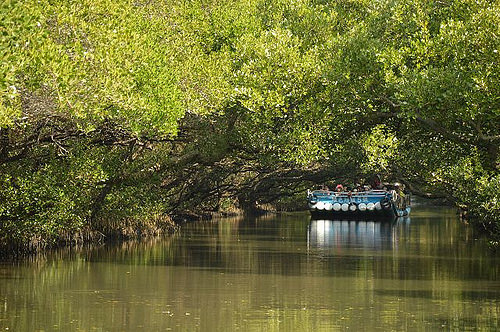 四草綠色隧道33