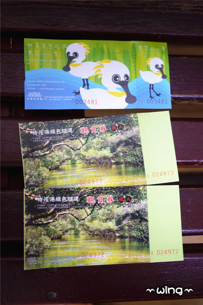 四草綠色隧道：［台南安南區］台灣袖珍版亞馬遜河。【四草綠色隧道】紅樹林生態園區(台江國家公園/大眾廟景點)