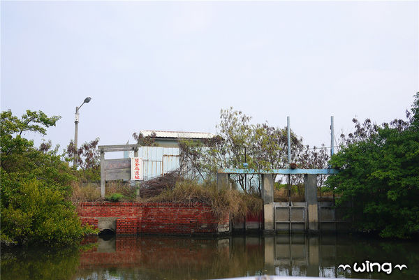 四草綠色隧道：［台南安南區］台灣袖珍版亞馬遜河。【四草綠色隧道】紅樹林生態園區(台江國家公園/大眾廟景點)