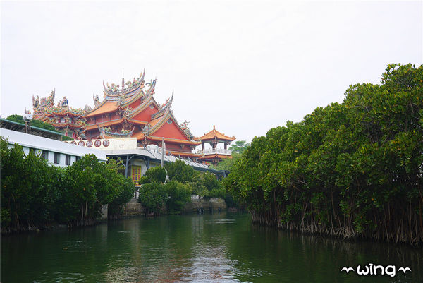 四草綠色隧道：［台南安南區］台灣袖珍版亞馬遜河。【四草綠色隧道】紅樹林生態園區(台江國家公園/大眾廟景點)