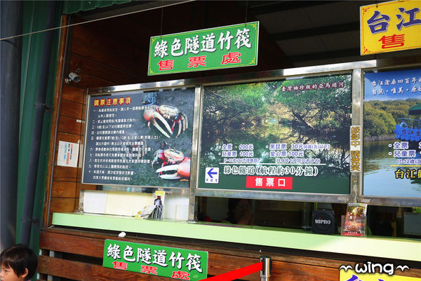 四草綠色隧道：［台南安南區］台灣袖珍版亞馬遜河。【四草綠色隧道】紅樹林生態園區(台江國家公園/大眾廟景點)