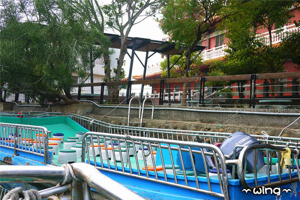 四草綠色隧道：［台南安南區］台灣袖珍版亞馬遜河。【四草綠色隧道】紅樹林生態園區(台江國家公園/大眾廟景點)