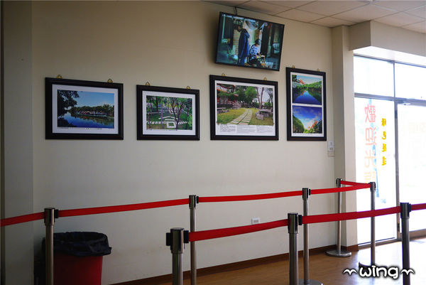 四草綠色隧道：［台南安南區］台灣袖珍版亞馬遜河。【四草綠色隧道】紅樹林生態園區(台江國家公園/大眾廟景點)