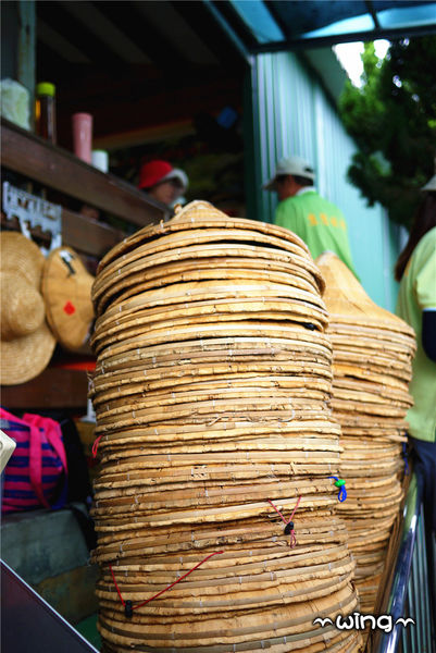 四草綠色隧道：［台南安南區］台灣袖珍版亞馬遜河。【四草綠色隧道】紅樹林生態園區(台江國家公園/大眾廟景點)