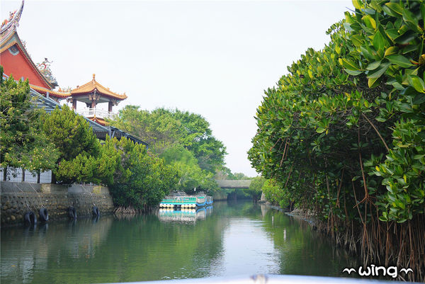四草綠色隧道：［台南安南區］台灣袖珍版亞馬遜河。【四草綠色隧道】紅樹林生態園區(台江國家公園/大眾廟景點)