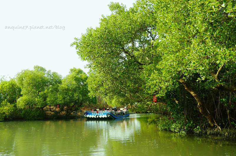 廖西瓜@台南安南區四草紅樹林綠色隧道台版亞馬遜12