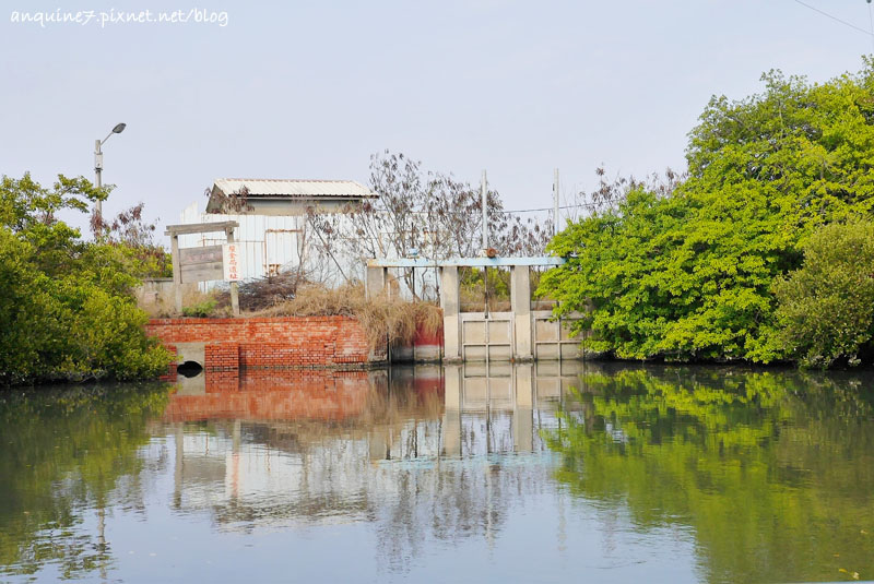 廖西瓜@台南安南區四草紅樹林綠色隧道台版亞馬遜24