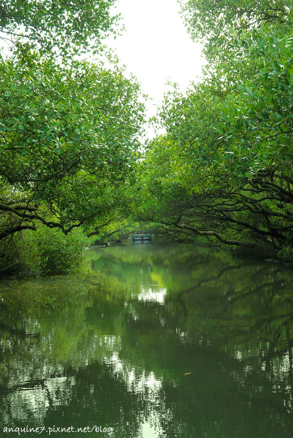 廖西瓜@台南安南區四草紅樹林綠色隧道台版亞馬遜28
