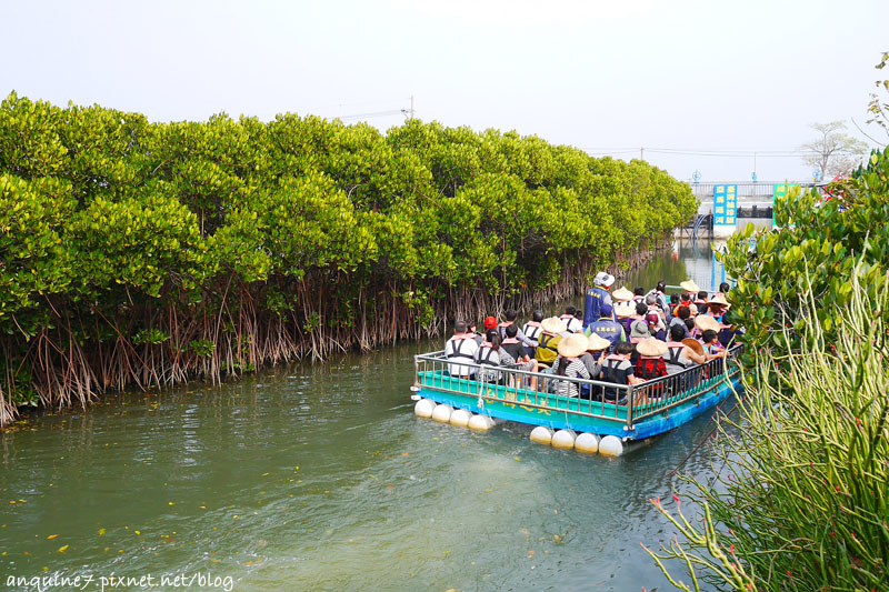 廖西瓜@台南安南區四草紅樹林綠色隧道台版亞馬遜4