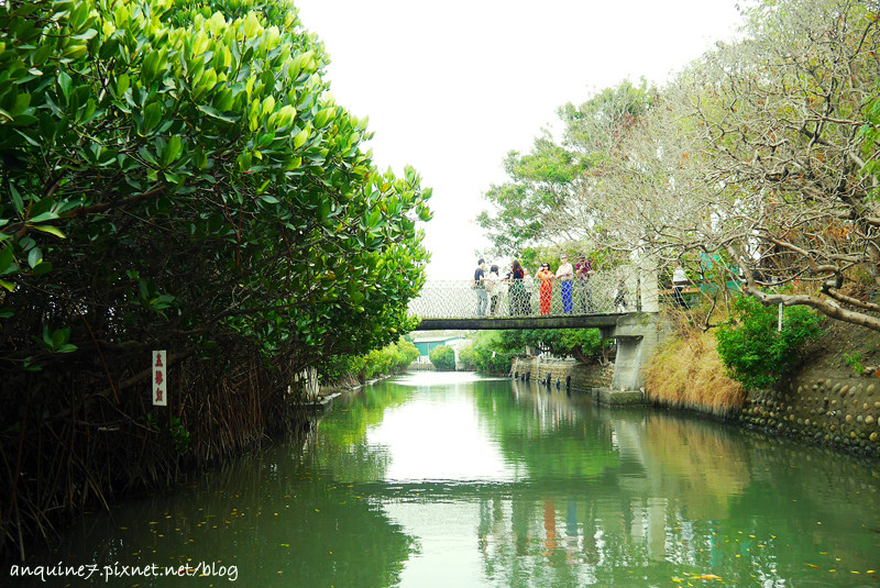 廖西瓜@台南安南區四草紅樹林綠色隧道台版亞馬遜32