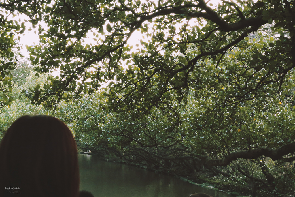 府城美食兩日小旅行