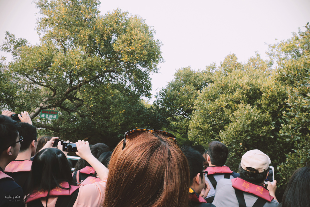府城美食兩日小旅行