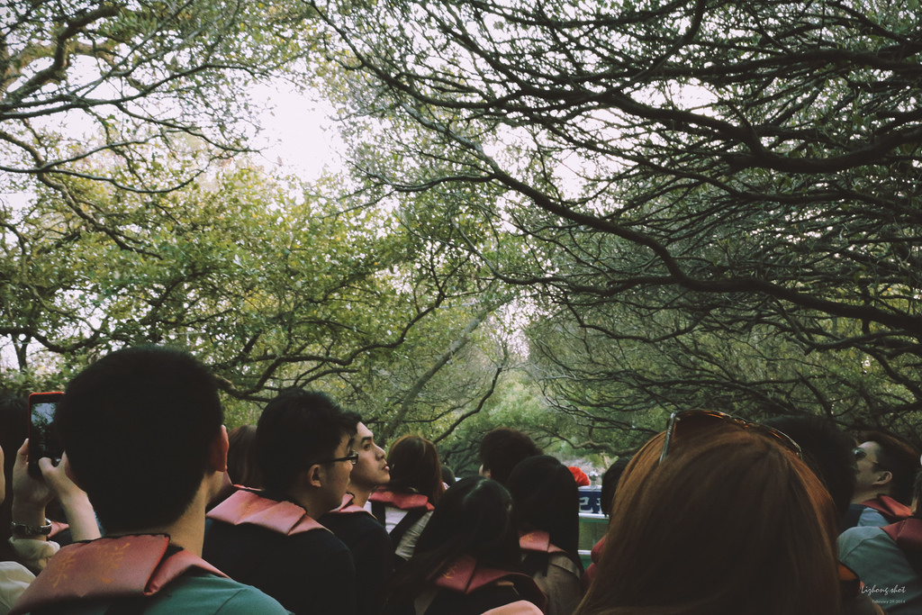 府城美食兩日小旅行