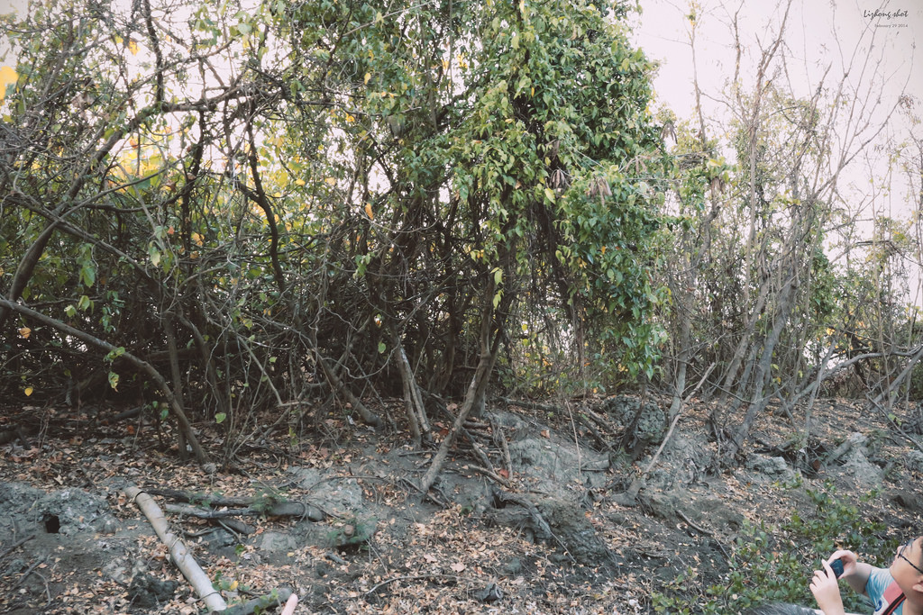 府城美食兩日小旅行