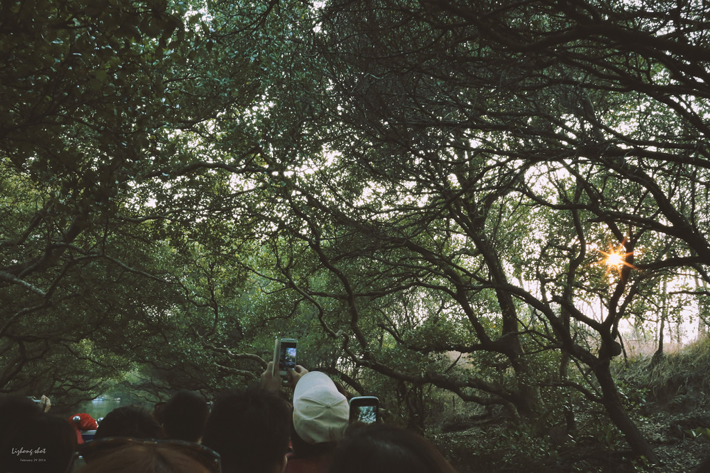 府城美食兩日小旅行