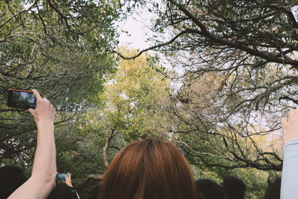 府城美食兩日小旅行