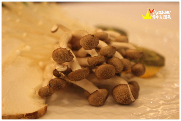 六福皇宮飯店-留園:台北中山區|黃金蟲草什菌鍋_斯里蘭卡大沙公『六福皇宮飯店-留園』