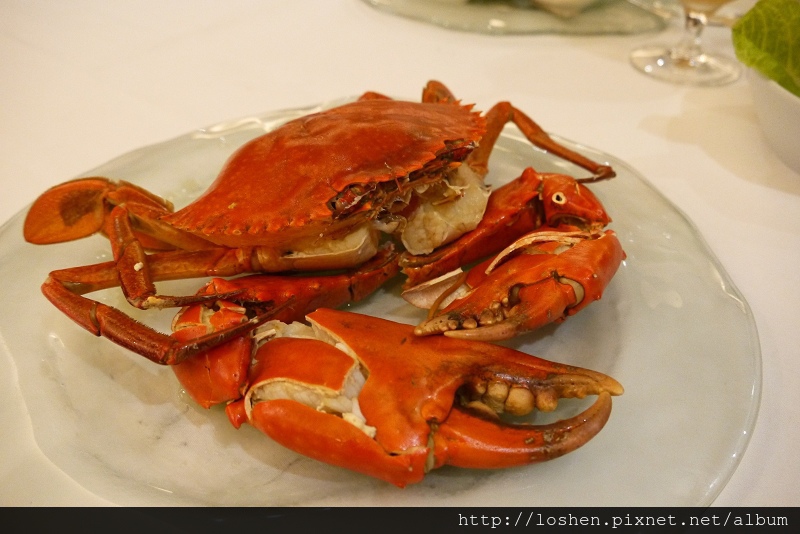 黃金蟲草什菌鍋-斯里蘭卡大沙公