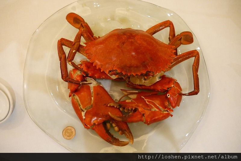 黃金蟲草什菌鍋-斯里蘭卡大沙公