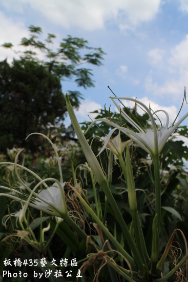 國美館藝想世界：2014新北市兒童藝術節「國美館藝想世界」(板橋435藝文中心)