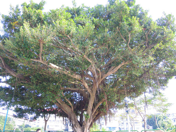 板橋435藝文特區：作伙來企投【新北板橋･435藝文特區】可以玩一整天的免費遊樂場