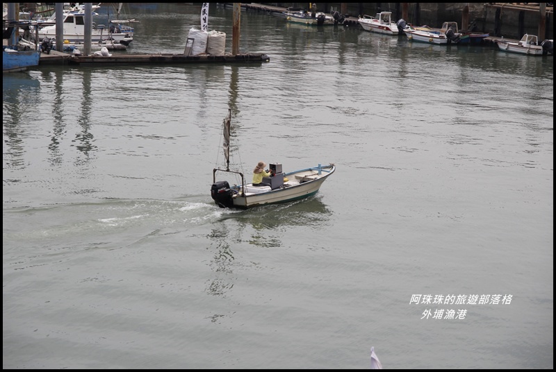 外埔漁港9.JPG