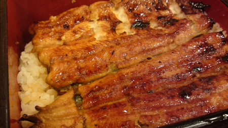 肥前屋:一口接一口的鰻魚飯