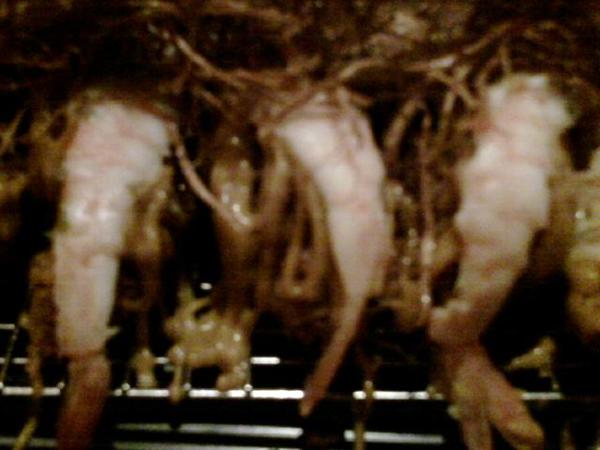 品田牧場(南京東店)：最終點餐--吃到像包場