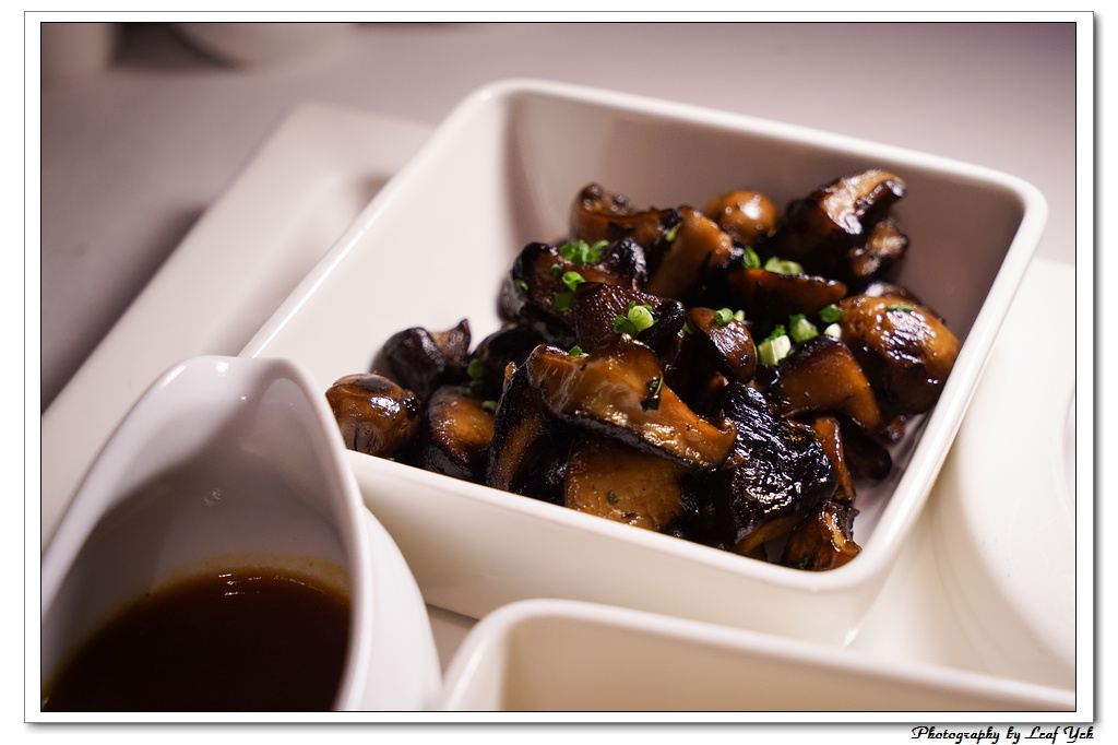 葉影瓶像版權所有