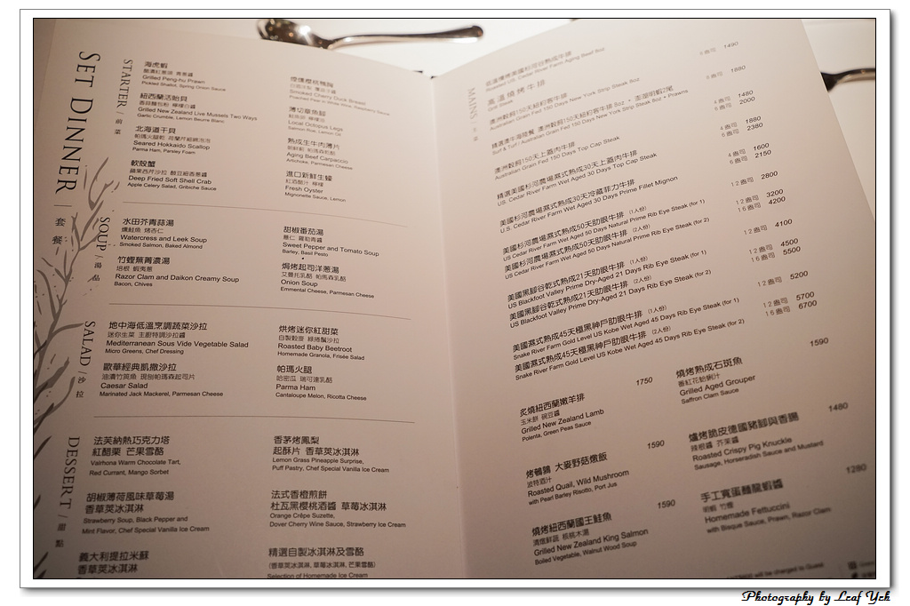 葉影瓶像版權所有