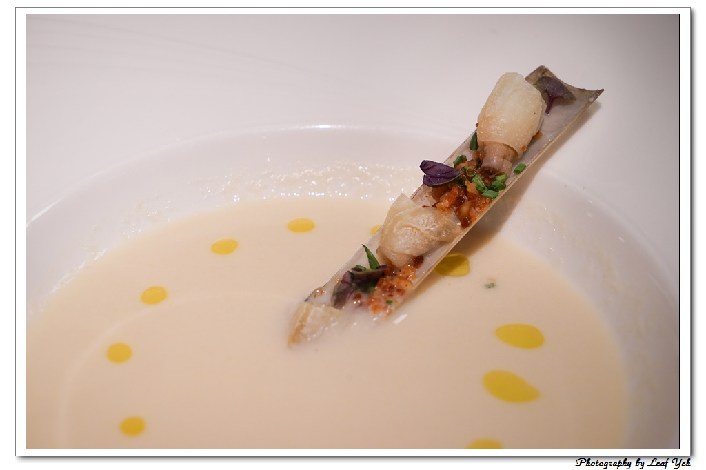 葉影瓶像版權所有