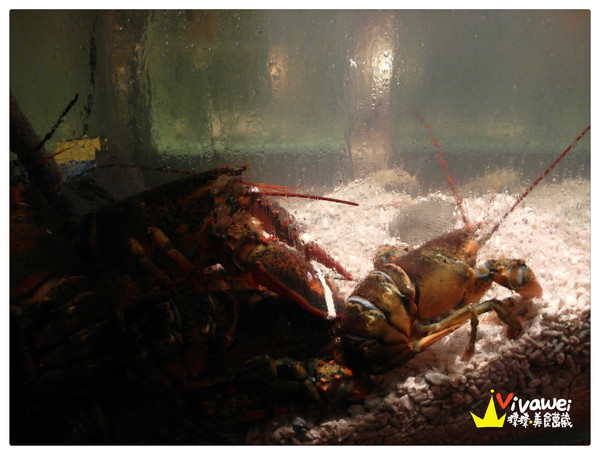 華國大飯店-帝國牛排館:台北中山區|週日限定Prime牛排吃到飽『華國大飯店帝國牛排館_Sonoma Grill』