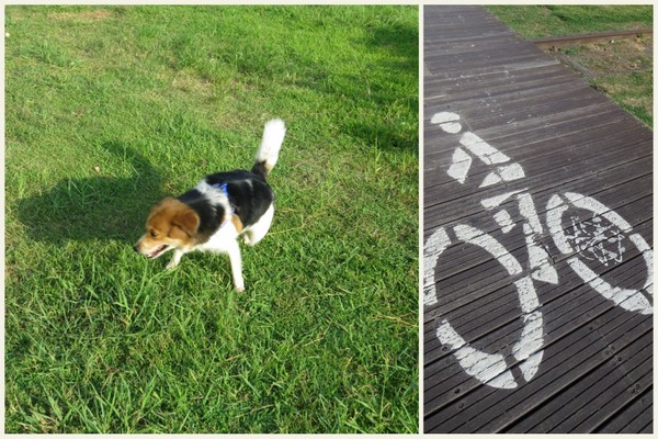 打狗鐵道故事館：原來還有後花園的【高雄打狗鐵道故事館】