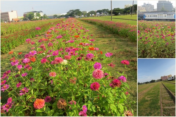 打狗鐵道故事館：原來還有後花園的【高雄打狗鐵道故事館】
