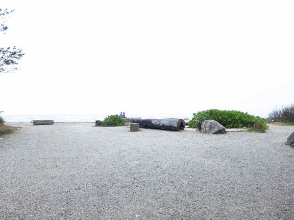 【桃園旅遊景點】桃園新屋綠色走廊&&永安漁港半日遊