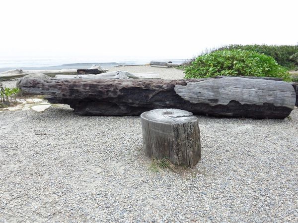 【桃園旅遊景點】桃園新屋綠色走廊&&永安漁港半日遊