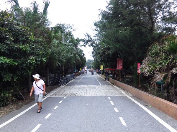 【桃園旅遊景點】桃園新屋綠色走廊&&永安漁港半日遊