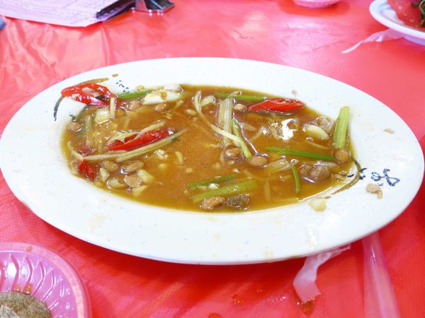 【桃園旅遊景點】桃園新屋綠色走廊&&永安漁港半日遊