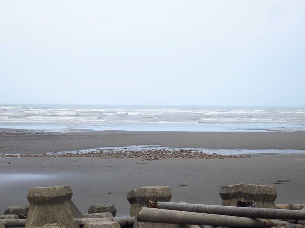 【桃園旅遊景點】桃園新屋綠色走廊&&永安漁港半日遊