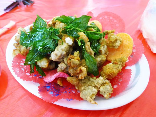 【桃園旅遊景點】桃園新屋綠色走廊&&永安漁港半日遊